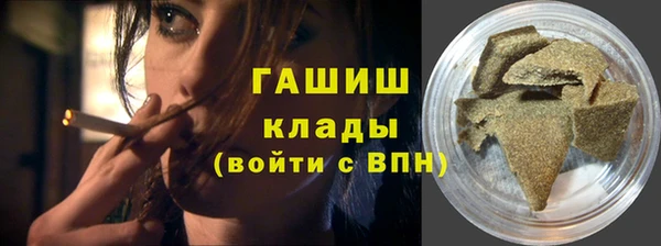 индика Осташков